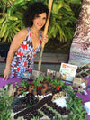 Raw cacao mass is the closet paste directly coming from the organic gently fermented raw cacao beans 